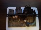 2011-02-03 18.31.492.jpg