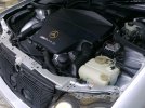 10012011132.jpg
