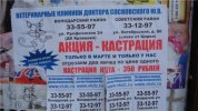Kastraciya.jpg