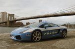 cop_exotics_02.jpg