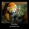 30467_firefox.jpg