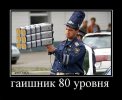 402291_gaishnik-80-urovnya.jpg