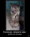вт.jpg