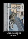 ср2.jpg