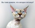 чт3.jpg