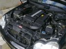 25032011047.jpg