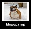 модер.jpg