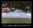 tk13 (a3).jpg