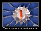 1308052109_011.jpg