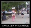 1308052157_013.jpg