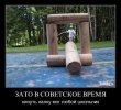 1308054356_025.jpg
