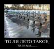 1308635782_068.jpg
