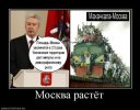 1310896087_demotivator_10.jpg