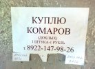 1311850170_vedm_01.jpg
