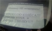 1311944677_podborka_39.jpg