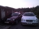 SNC00335.jpg