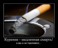 43 vvv (6).jpg