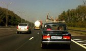 1314704132_podborka_58.jpg