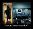nikogdanesdavaisa.jpg