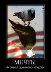 mechti.jpg