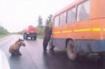 podborka_prikolov_072.jpg