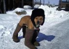 1323100793_podborka_68.jpg