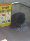 funny_ad_16.jpg