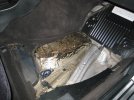 IMG_1758.JPG