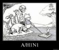 A-H1N1.jpg