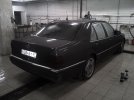 IMG-20120203-00195.jpg