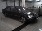 IMG-20120203-00194.jpg