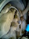 2012-02-06-076.jpg