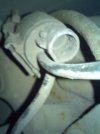 2012-02-07-097.jpg