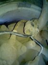 2012-02-08-113.jpg