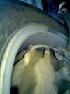2012-02-08-115.jpg