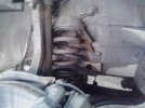 IMG_20120323_153548.jpg