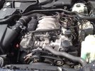 16052010095.jpg