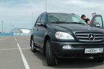 S1260166.JPG