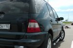 S1260169.JPG