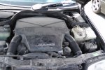 S1260047.JPG