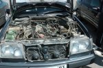 S1260001.JPG