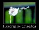 1336800930_1.jpg