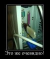 ochevidno.jpg