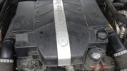 DSC08717.JPG