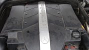 DSC08718.JPG