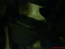 DSC00443.JPG