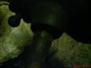DSC00445.JPG