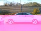 IMG_0780.JPG