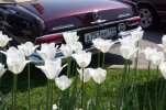 MB_classic_day_28.jpg