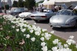 MB_classic_day_488.jpg